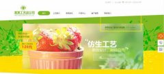 手機網(wǎng)站建設關(guān)鍵詞定位