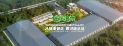 安達市晟*糧食購銷(xiāo)有限公司網(wǎng)站建設公司創(chuàng  )意網(wǎng)站效果展示