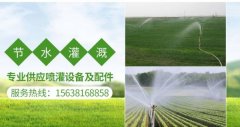 鄢陵縣澤*再生資源有限公司網(wǎng)站建設營(yíng)銷(xiāo)型案例作品