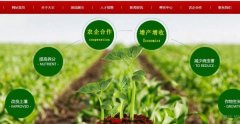 蘭考大*植物油有限公司網(wǎng)站建設有創(chuàng  )意的主題設計