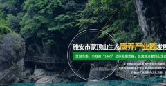 雅安市蒙*山生態(tài)康養產(chǎn)業(yè)園發(fā)展有限公司網(wǎng)站建設公司有創(chuàng  )意的主題設計