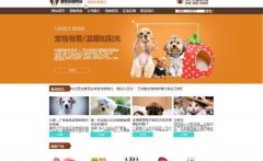 企業(yè)網(wǎng)站設計DIV與CSS