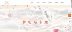 網(wǎng)站seo優(yōu)化用戶(hù)體驗研究與網(wǎng)頁(yè)交互