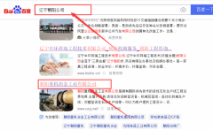 朝陽(yáng)重*冶金工業(yè)有限公司網(wǎng)站建設案例欣賞