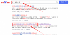朝陽(yáng)市天*清洗劑制造有限公司網(wǎng)站建設參考網(wǎng)站