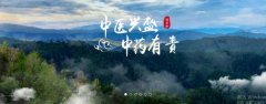 普洱淞*醫藥集團有限公司網(wǎng)站建設新一代自助建站、智能建站系統