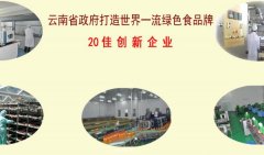 云南大理洱*實(shí)業(yè)有限公司網(wǎng)站建設營(yíng)銷(xiāo)型案例作品