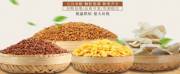 蕪湖沫*食品有限公司網(wǎng)站建設營(yíng)銷(xiāo)型案例作品