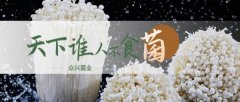 天水眾*菌業(yè)股份有限公司網(wǎng)站建設有創(chuàng  )意的主題設計
