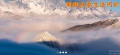 北京鶴*文化發(fā)展有限公司網(wǎng)站建設新一代自助建站、智能建站系統