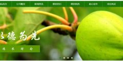 涼山德*生物能源公司制作網(wǎng)站創(chuàng  )意網(wǎng)站效果展示