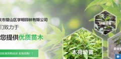 重慶市璧山區學(xué)*園林有限公司網(wǎng)站建設基本流程