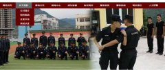 重慶市武隆區保*服務(wù)有限公司企業(yè)網(wǎng)站建設有創(chuàng  )意的主題設計
