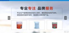商水縣豐*防火涂料有限公司設計網(wǎng)站營(yíng)銷(xiāo)型案例作品