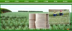 廣西玉林市長(cháng)*劍麻有限公司企業(yè)網(wǎng)站建設新一代自助建站、智能建站系統