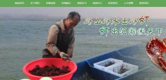  湖北沙洋小*湖農工貿有限公司企業(yè)網(wǎng)站建設展示型案例作品