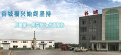 谷城縣福*化工有限公司網(wǎng)站建設有創(chuàng  )意的主題設計