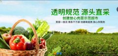 慈利縣芙*實(shí)業(yè)有限責任公司網(wǎng)站開(kāi)發(fā)展示型案例作品
