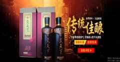 江蘇泗洪縣雙*釀酒有限公司制作網(wǎng)站經(jīng)典網(wǎng)頁(yè)模板網(wǎng)站建設釀酒行業(yè)作品欣賞
