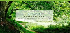 茌平縣信*達木業(yè)有限公司設計網(wǎng)站展示型案例作品