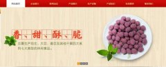 紅太*食品(榮成)有限公司制作網(wǎng)站新一代自助建站、智能建站系統