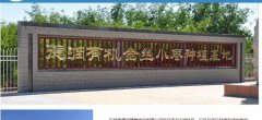 樂(lè )陵市*潤健康食品有限公司網(wǎng)站制作有創(chuàng  )意的主題設計