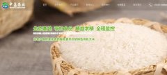 豐城市中*農業(yè)發(fā)展有限公司網(wǎng)站建設新一代自助建站、智能建站系統