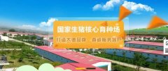 河南大*畜牧養殖有限公司網(wǎng)站制作有創(chuàng  )意的主題設計