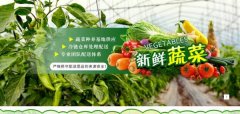 北京華*金豐商貿有限公司制作網(wǎng)站營(yíng)銷(xiāo)型案例作品