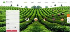企業(yè)網(wǎng)站建設網(wǎng)頁(yè)在功能分布方面是有一定規律的